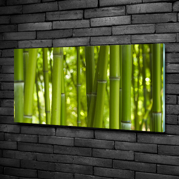 Glass wall art Bamboo