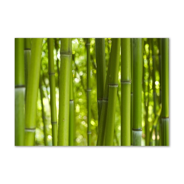 Glass wall art Bamboo