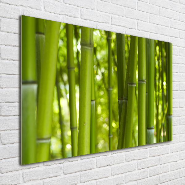 Glass wall art Bamboo