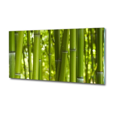 Glass wall art Bamboo