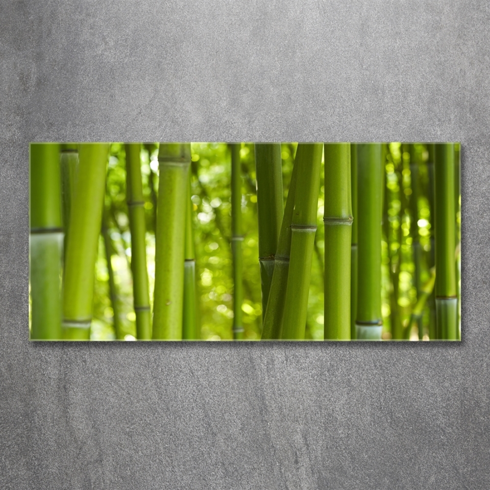 Glass wall art Bamboo