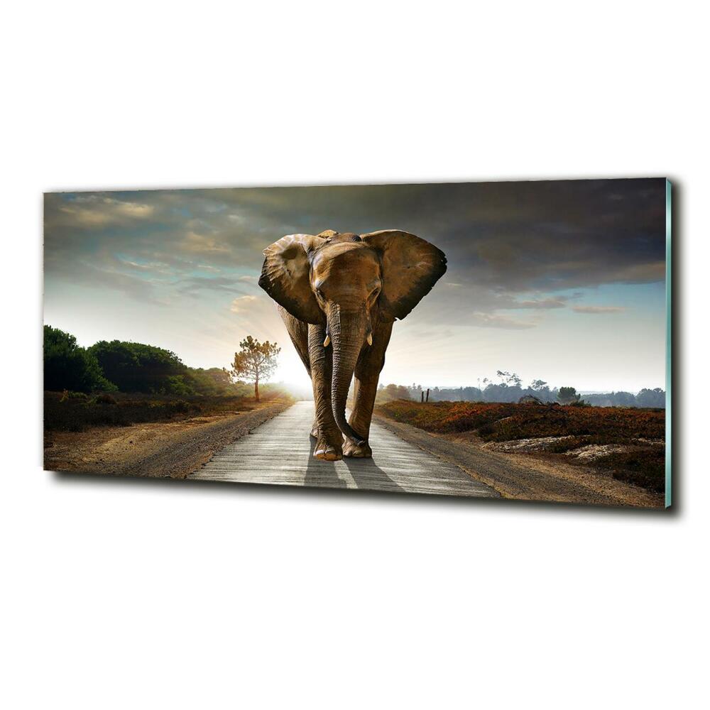 Glass art print Walking the elephant