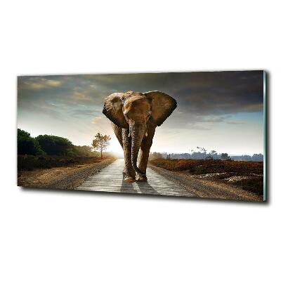 Glass art print Walking the elephant