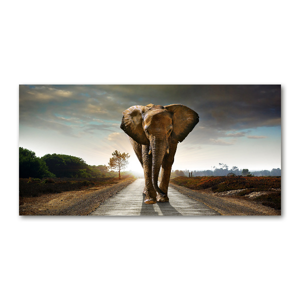 Glass art print Walking the elephant