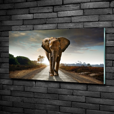 Glass art print Walking the elephant