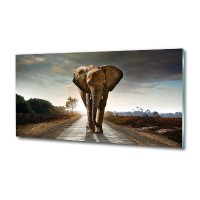 Glass art print Walking the elephant