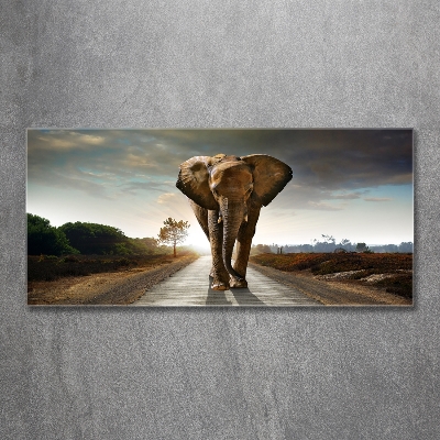 Glass art print Walking the elephant