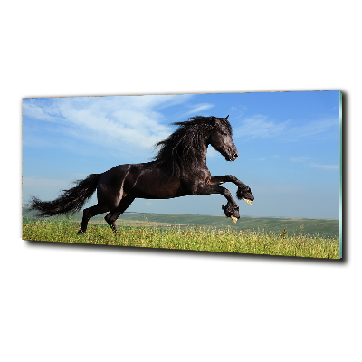 Glass art print Black horse in the meadow