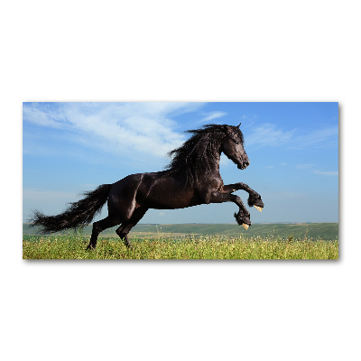 Glass art print Black horse in the meadow