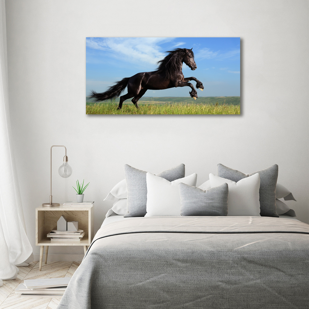 Glass art print Black horse in the meadow