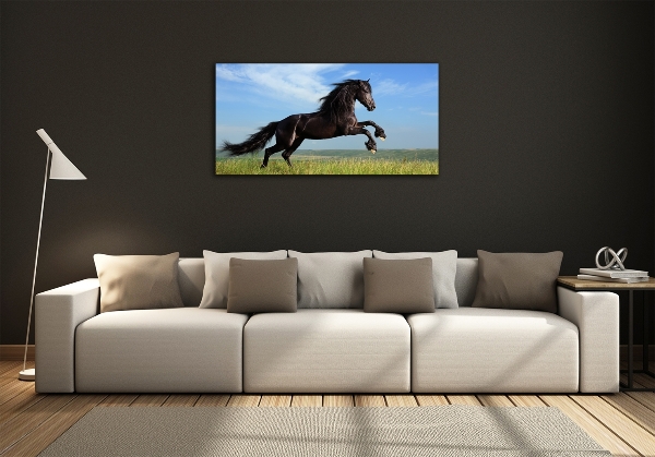 Glass art print Black horse in the meadow