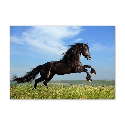 Glass art print Black horse in the meadow