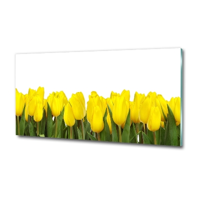 Glass art print Yellow tulips