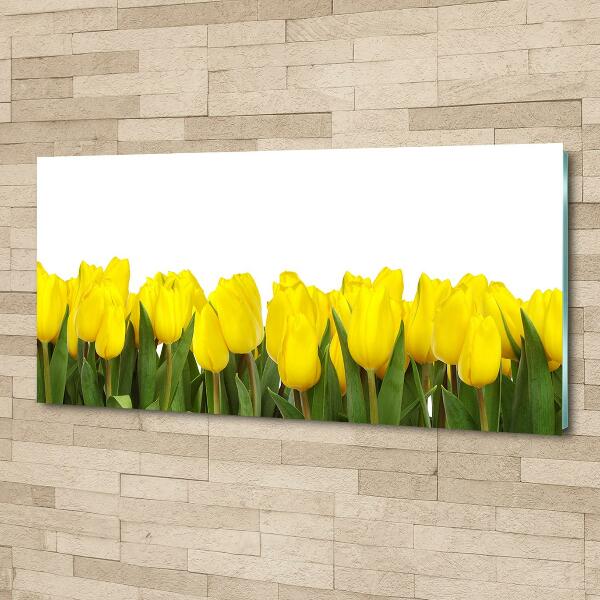 Glass art print Yellow tulips