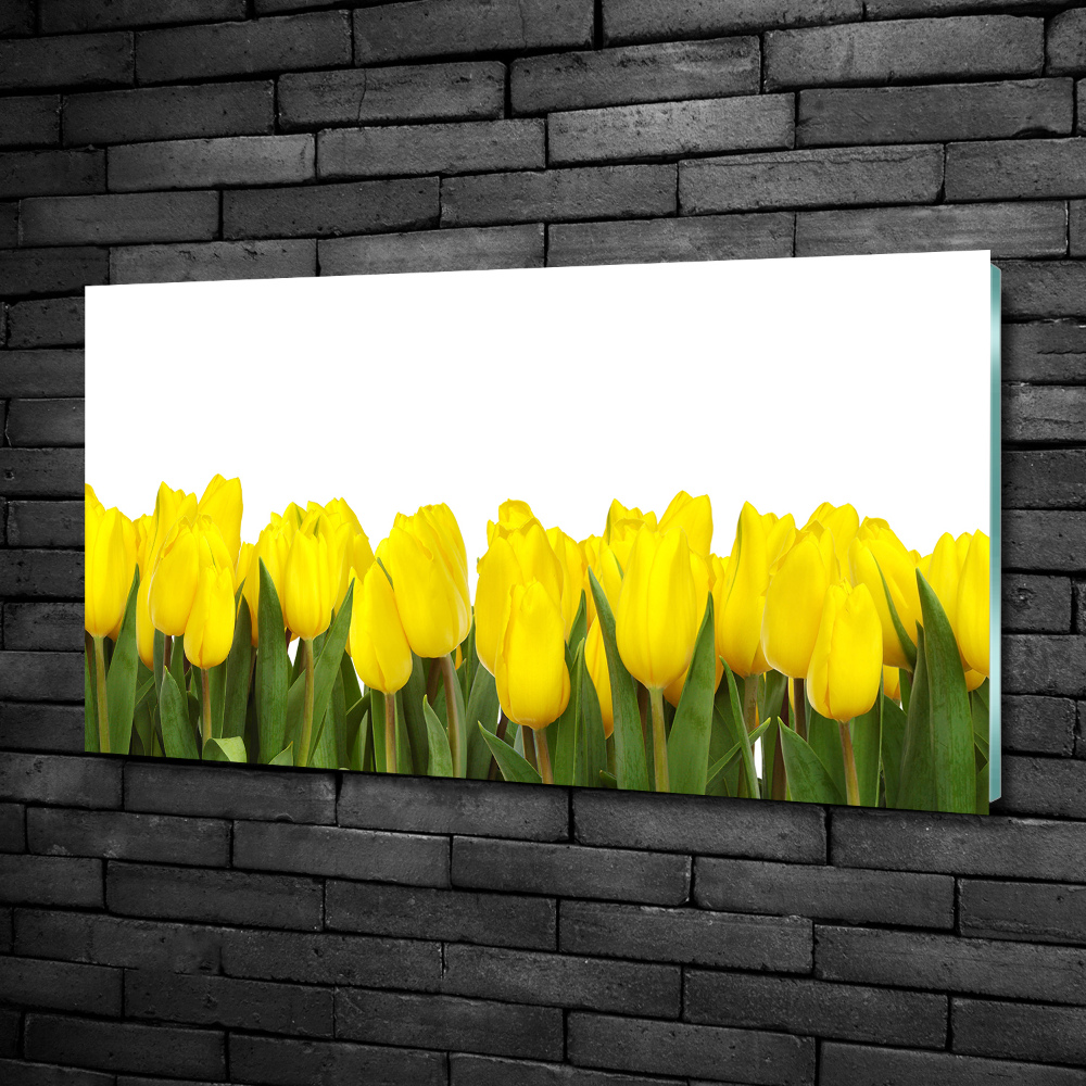 Glass art print Yellow tulips