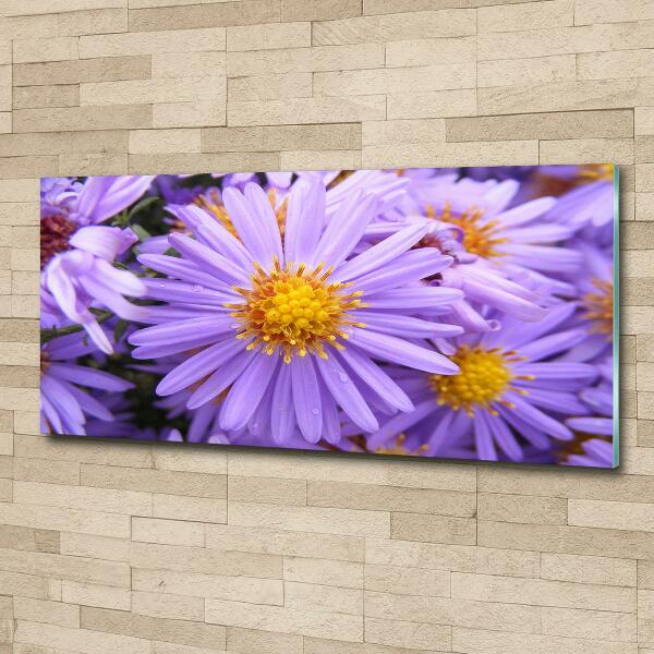 Glass art print Asters