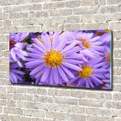 Glass art print Asters