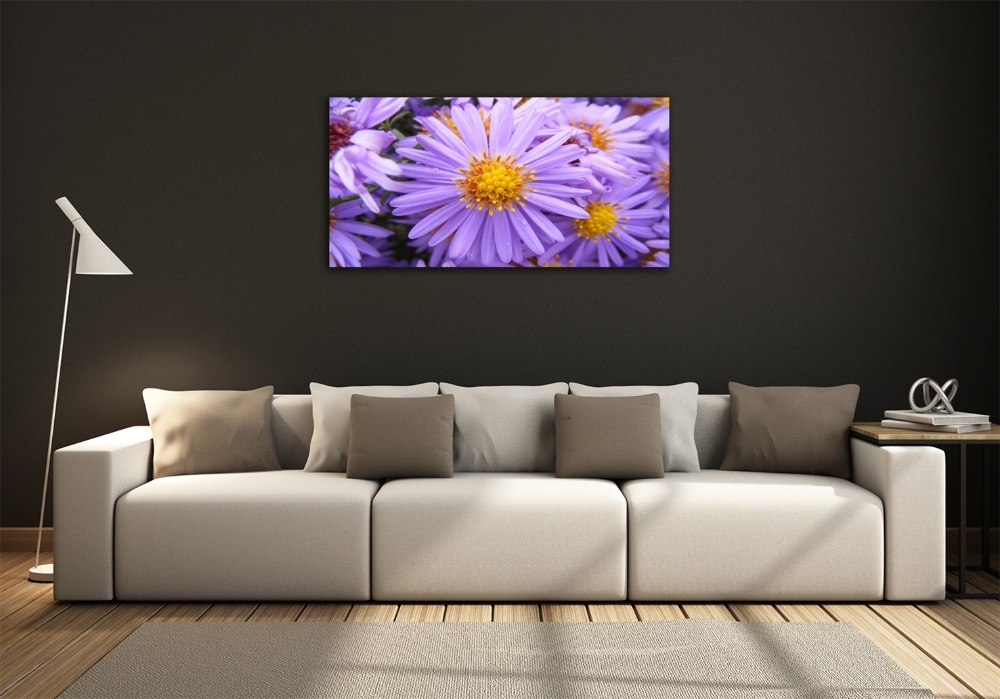 Glass art print Asters