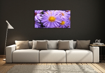 Glass art print Asters