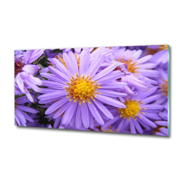 Glass art print Asters