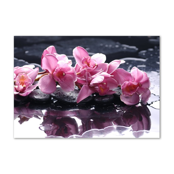 Glass art print Pink orchid