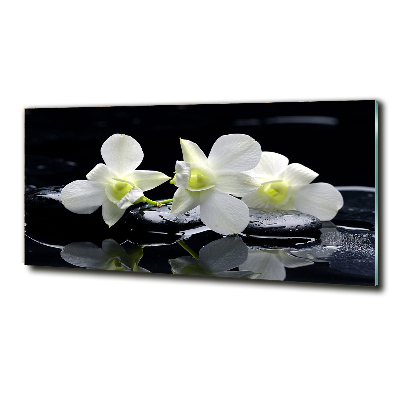 Glass art print Orchid