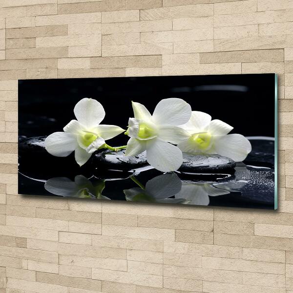 Glass art print Orchid