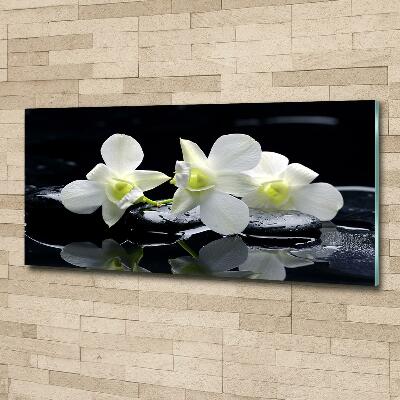 Glass art print Orchid