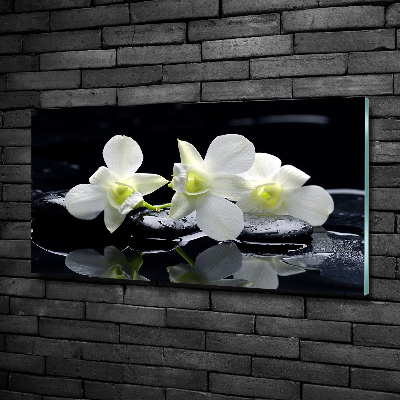 Glass art print Orchid