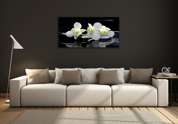 Glass art print Orchid