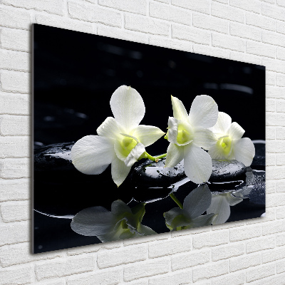 Glass art print Orchid