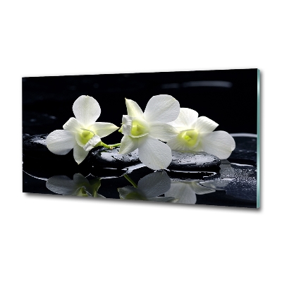 Glass art print Orchid