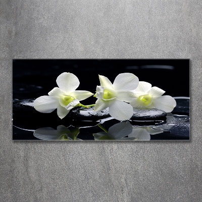 Glass art print Orchid