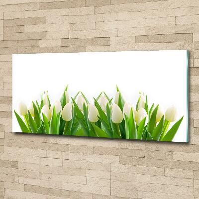 Glass art print White tulips