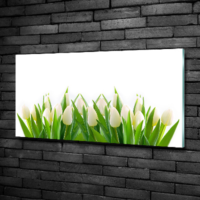 Glass art print White tulips