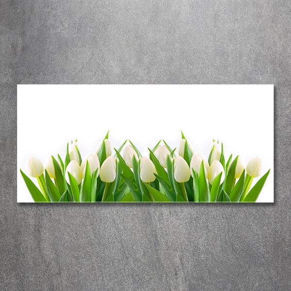 Glass art print White tulips