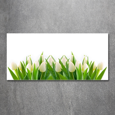 Glass art print White tulips