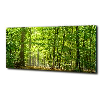 Glass art picture Deciduous forest