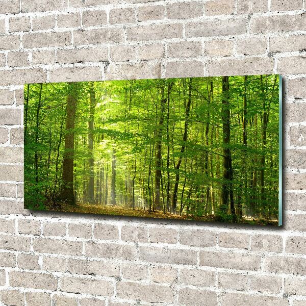 Glass art picture Deciduous forest