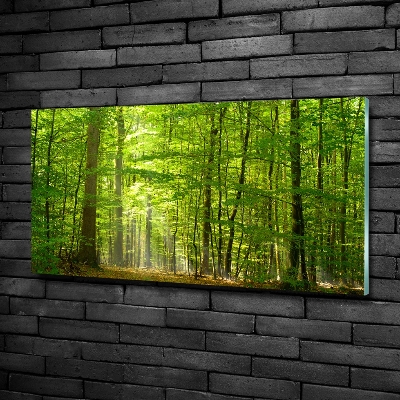 Glass art picture Deciduous forest