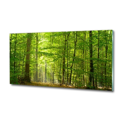 Glass art picture Deciduous forest