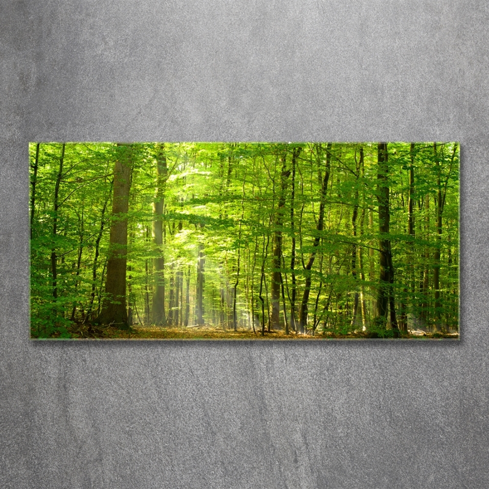 Glass art picture Deciduous forest