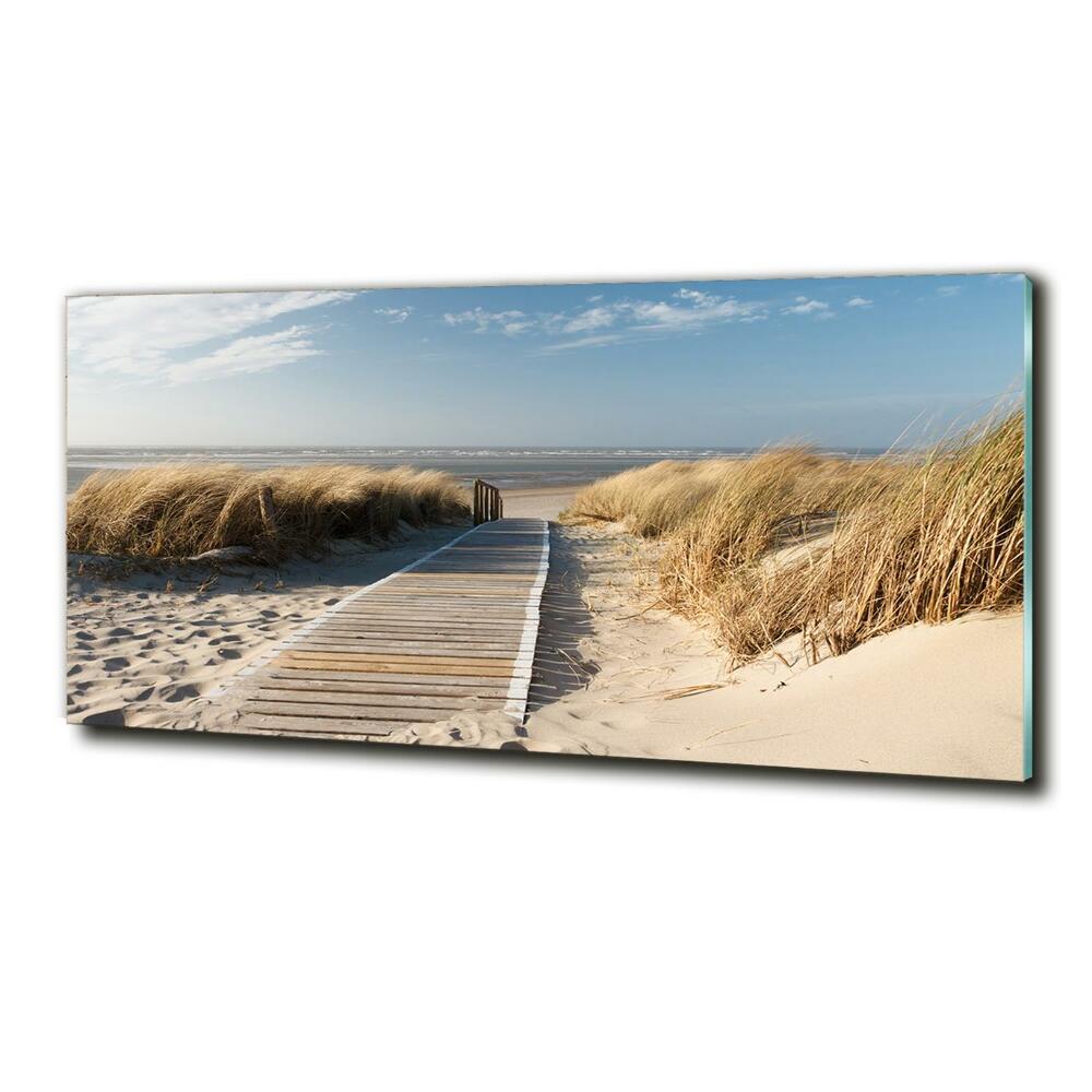 Photo printed on glass Path on the beach