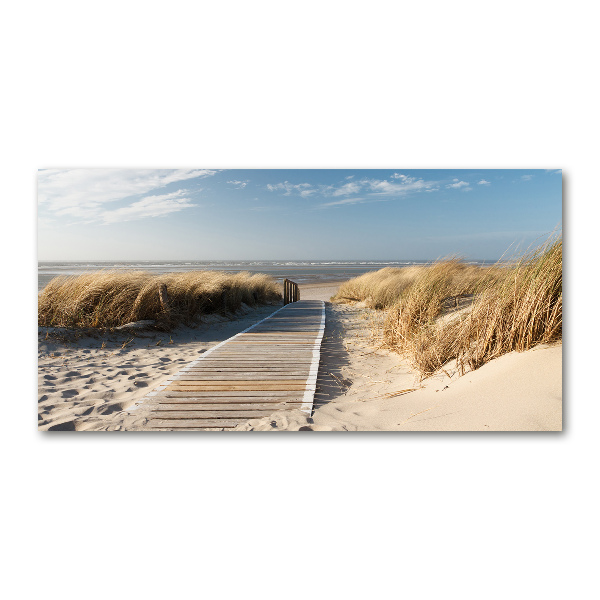 Photo printed on glass Path on the beach