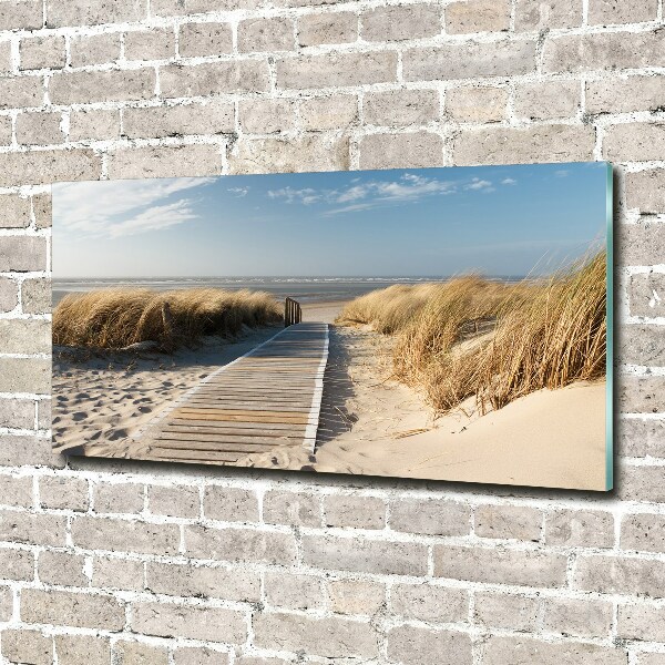 Photo printed on glass Path on the beach