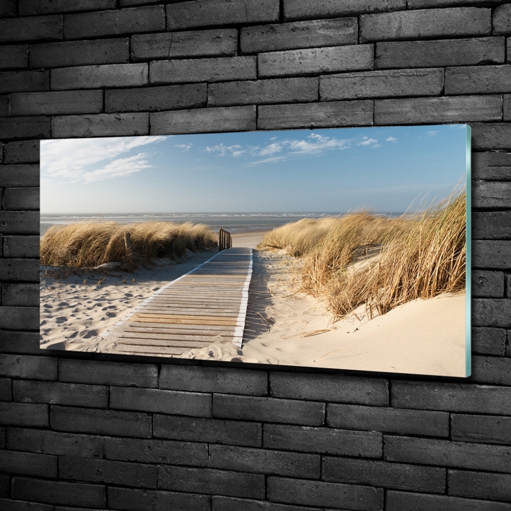 Photo printed on glass Path on the beach