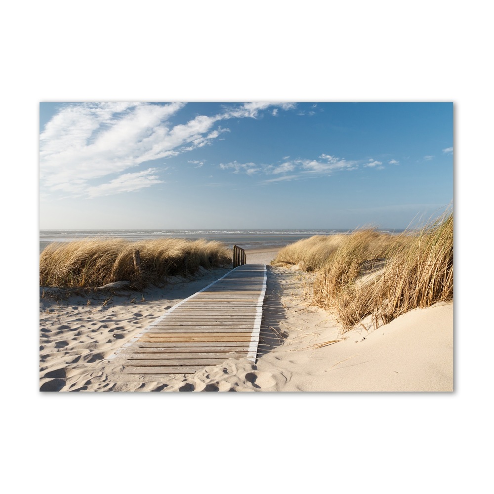 Photo printed on glass Path on the beach