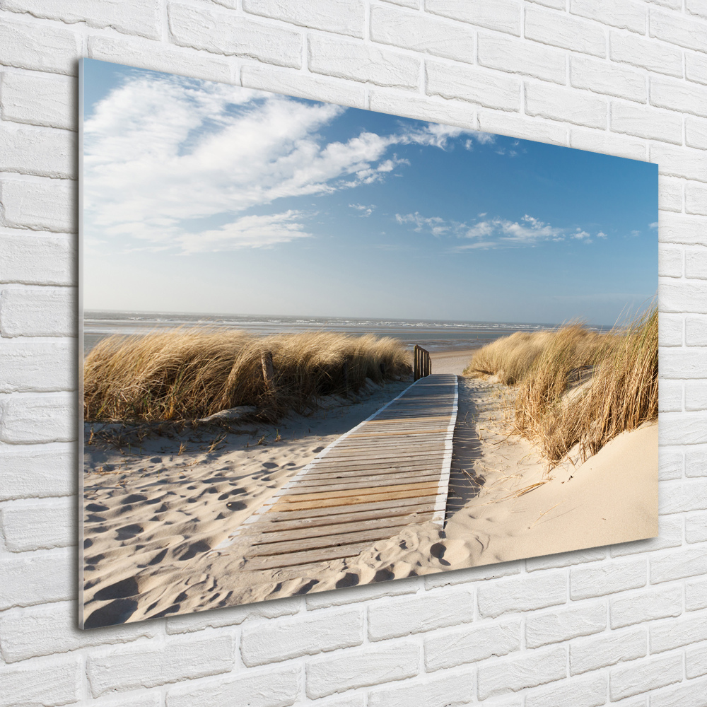 Photo printed on glass Path on the beach