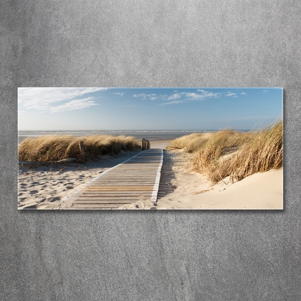 Photo printed on glass Path on the beach