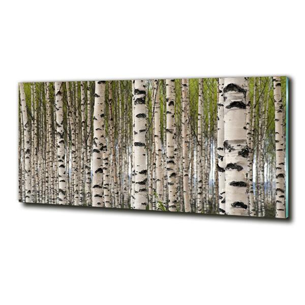 Glass art print Birch forest